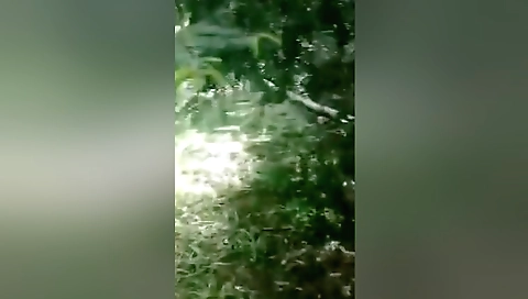 Race Beauty Takes Risky Public Walk In The Woods!