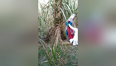 Today Exclusive- Village Lover Outdoor Fucking 3