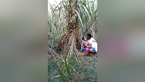 Today Exclusive- Village Lover Outdoor Fucking 3