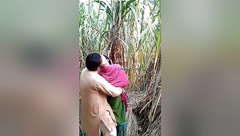 Today Exclusive- Village Lover Outdoor Fucking 1