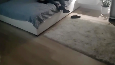 Has A Romentic Breeding Session With Her Long Term Bull, While Hubby Records All Of It