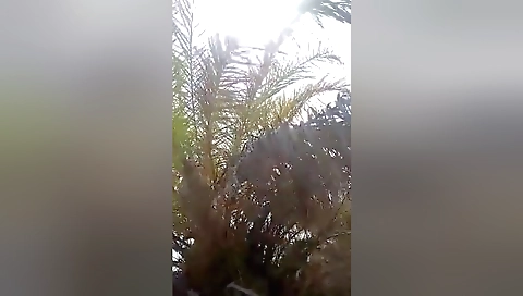 Desi Randi Outdoor Fucking