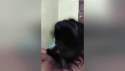 Today Exclusive- Desi Gf Sucking Lover Dick