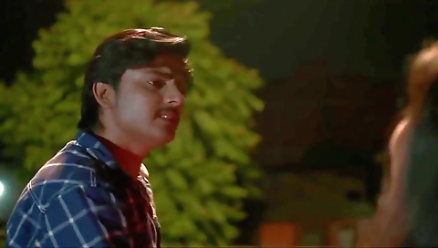 Today Exclusive -seal S04 2