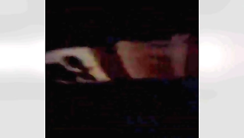 Delhi Wali Girlfriend Saying Mjhe Mat Chorna Speaking Hindi And Moaning Loud And Hard